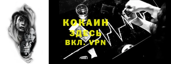 твердый Алексин